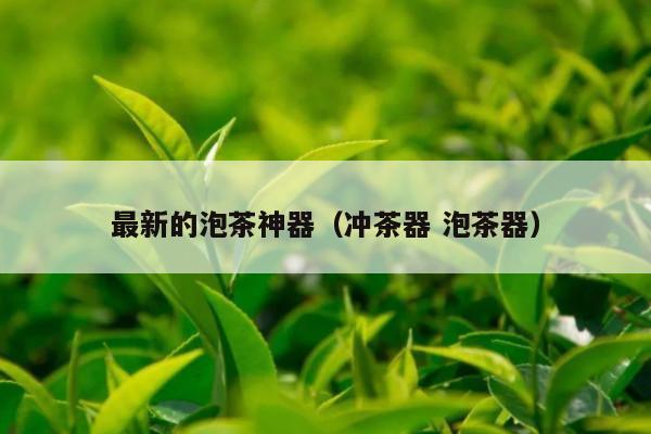 最新的泡茶神器（冲茶器 泡茶器）