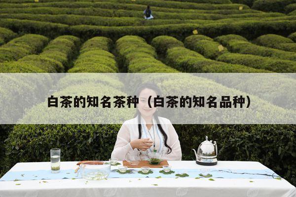 白茶的知名茶种（白茶的知名品种）