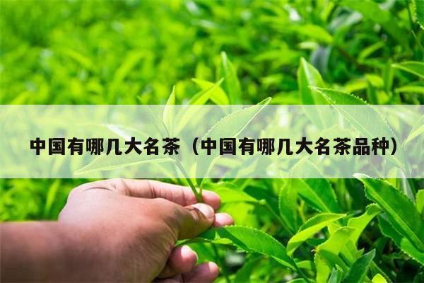 中国有哪几大名茶（中国有哪几大名茶品种）