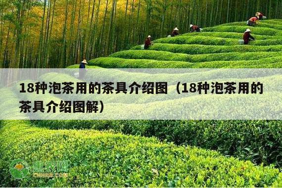 18种泡茶用的茶具介绍图（18种泡茶用的茶具介绍图解）