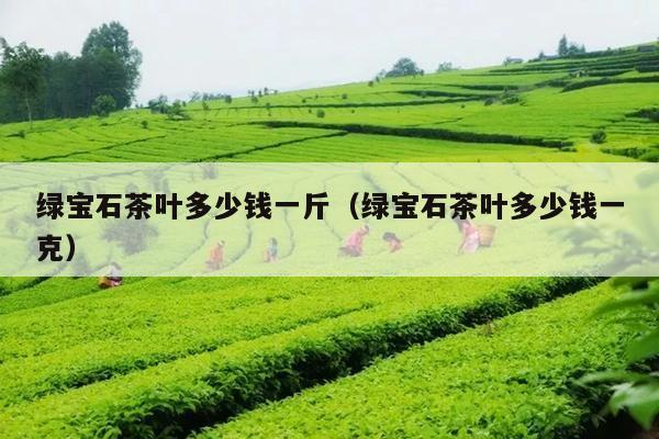 绿宝石茶叶多少钱一斤（绿宝石茶叶多少钱一克）