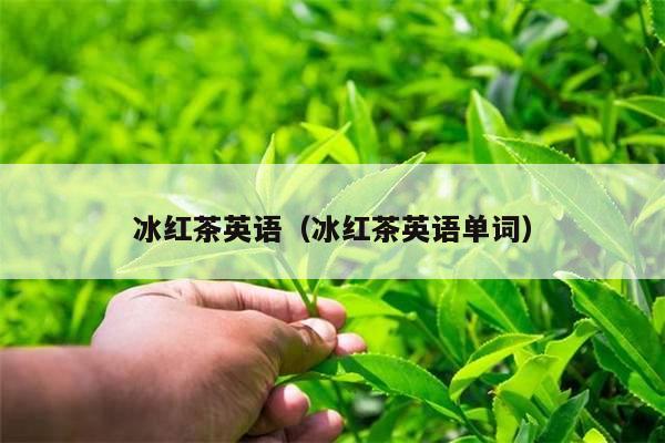 冰红茶英语（冰红茶英语单词）