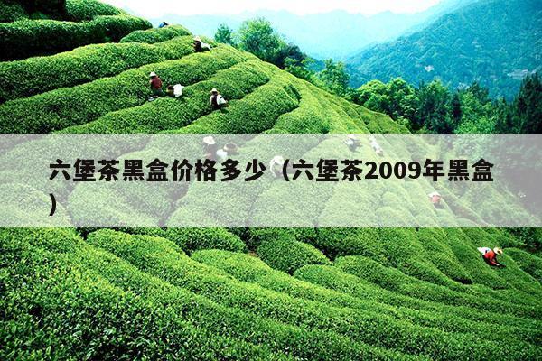 六堡茶黑盒价格多少（六堡茶2009年黑盒）