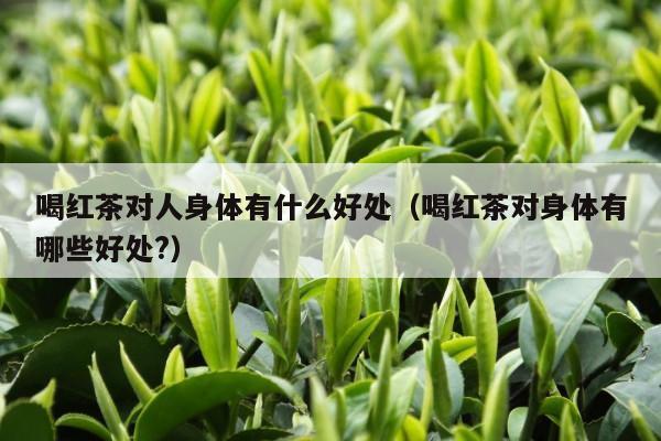 喝红茶对人身体有什么好处（喝红茶对身体有哪些好处?）