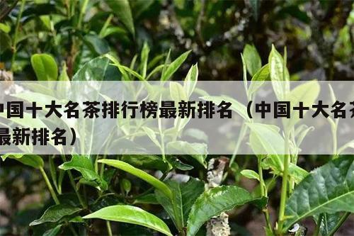 中国十大名茶排行榜最新排名（中国十大名茶 最新排名）