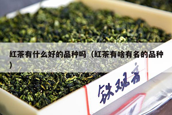 红茶有什么好的品种吗（红茶有啥有名的品种）