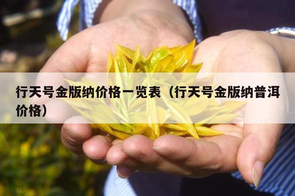 行天号金版纳价格一览表（行天号金版纳普洱价格）