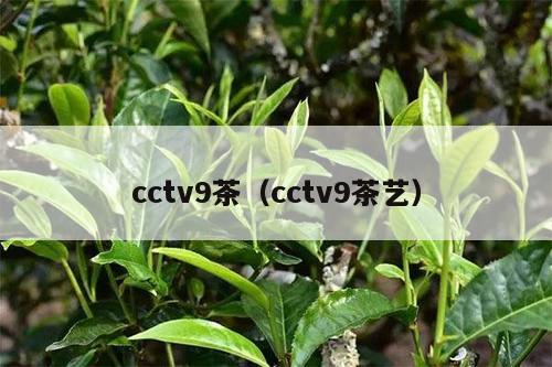 cctv9茶（cctv9茶艺）