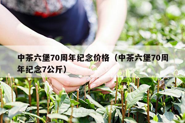 中茶六堡70周年纪念价格（中茶六堡70周年纪念7公斤）