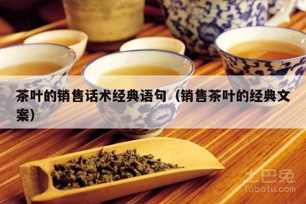 茶叶的销售话术经典语句（销售茶叶的经典文案）