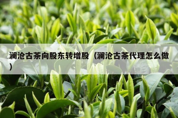 澜沧古茶向股东转增股（澜沧古茶代理怎么做）