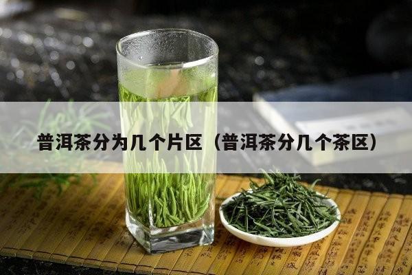 普洱茶分为几个片区（普洱茶分几个茶区）