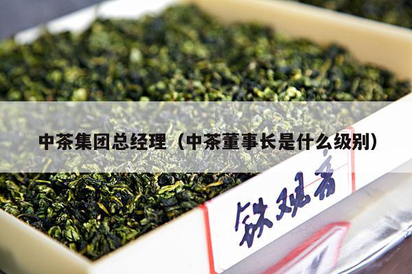 中茶集团总经理（中茶董事长是什么级别）