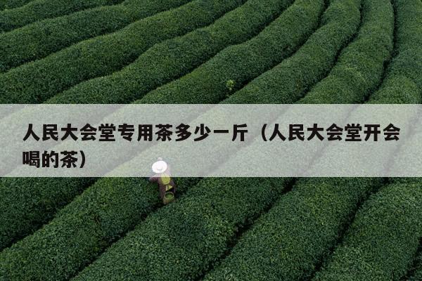 人民大会堂专用茶多少一斤（人民大会堂开会喝的茶）