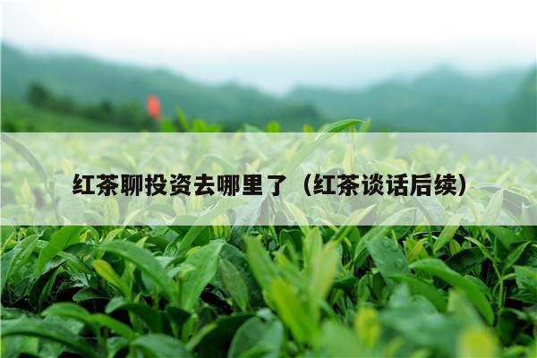 红茶聊投资去哪里了（红茶谈话后续）