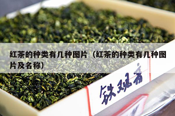 红茶的种类有几种图片（红茶的种类有几种图片及名称）