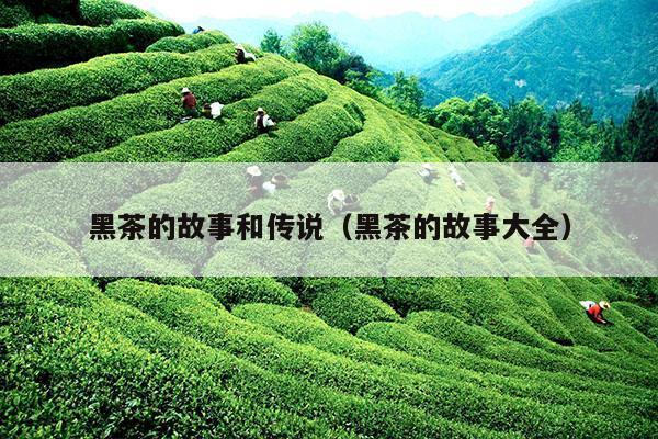 黑茶的故事和传说（黑茶的故事大全）