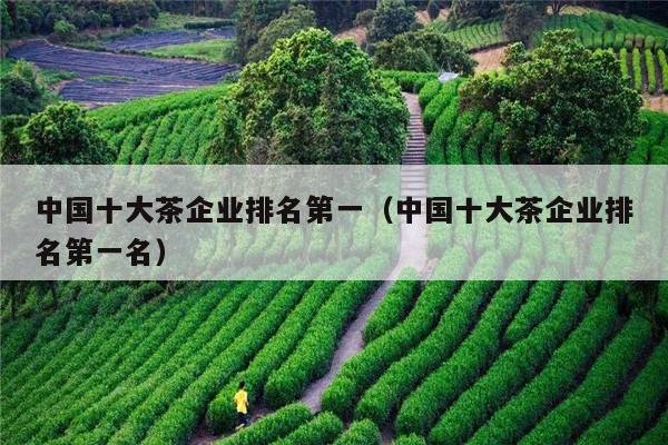 中国十大茶企业排名第一（中国十大茶企业排名第一名）