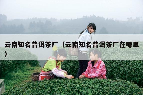 云南知名普洱茶厂（云南知名普洱茶厂在哪里）