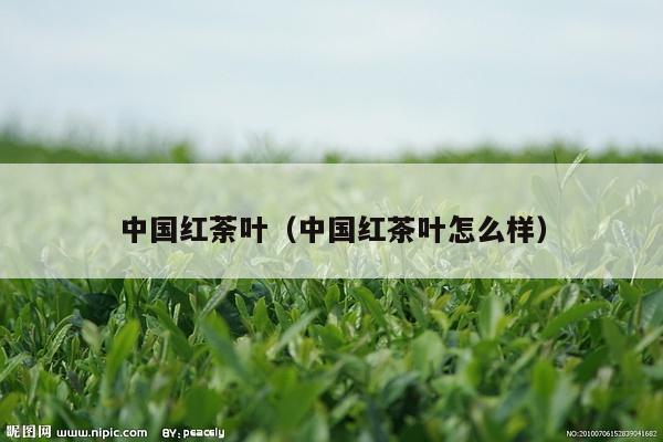 中国红荼叶（中国红茶叶怎么样）