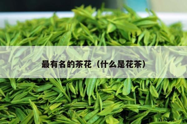 最有名的茶花（什么是花茶）