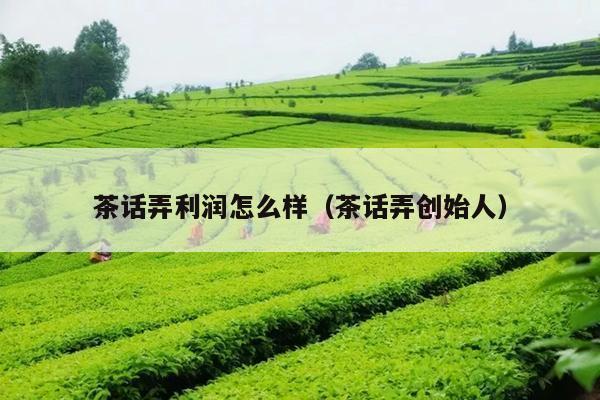 茶话弄利润怎么样（茶话弄创始人）