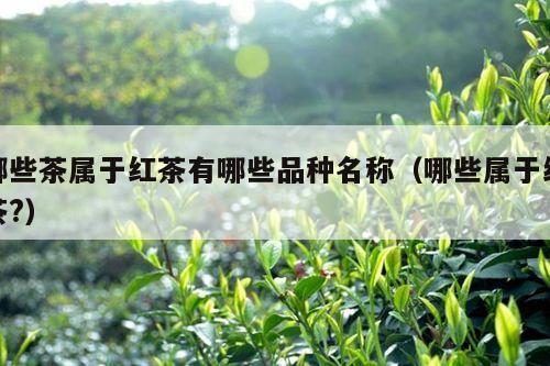 哪些茶属于红茶有哪些品种名称（哪些属于红茶?）