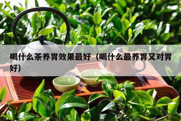 喝什么茶养胃效果最好（喝什么最养胃又对胃好）