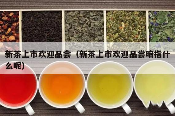 新茶上市欢迎品尝（新茶上市欢迎品尝暗指什么呢）