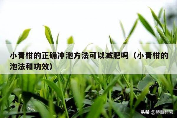 小青柑的正确冲泡方法可以减肥吗（小青柑的泡法和功效）