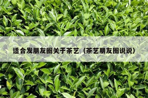 适合发朋友圈关于茶艺（茶艺朋友圈说说）