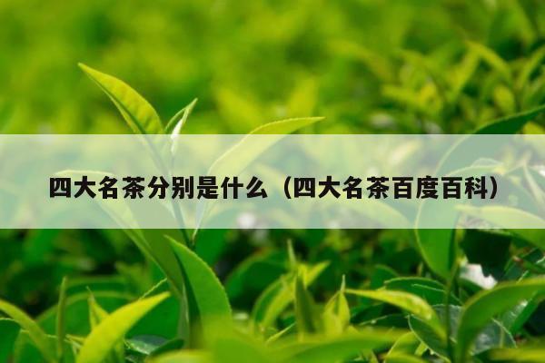 四大名茶分别是什么（四大名茶百度百科）