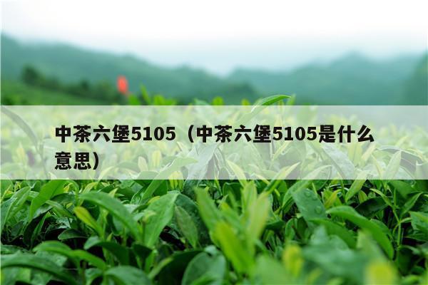 中茶六堡5105（中茶六堡5105是什么意思）