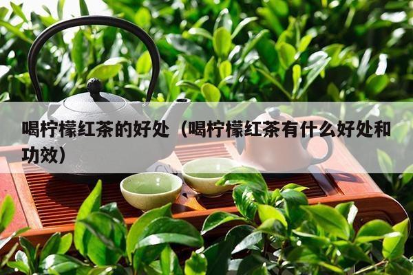 喝柠檬红茶的好处（喝柠檬红茶有什么好处和功效）