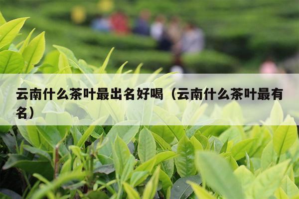 云南什么茶叶最出名好喝（云南什么茶叶最有名）