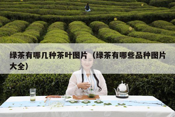 绿茶有哪几种茶叶图片（绿茶有哪些品种图片大全）