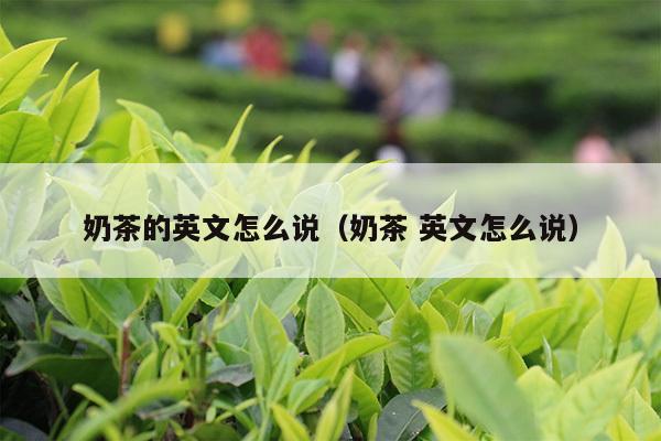 奶茶的英文怎么说（奶茶 英文怎么说）