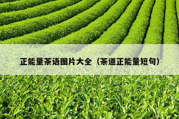 正能量茶语图片大全（茶道正能量短句）