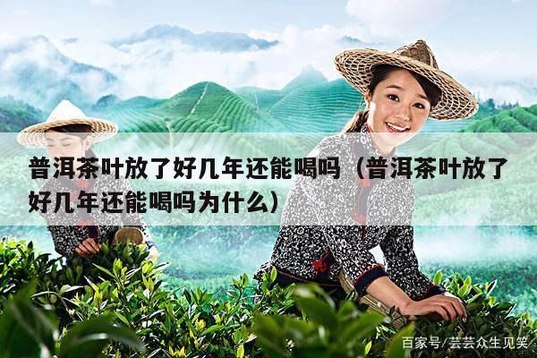 普洱茶叶放了好几年还能喝吗（普洱茶叶放了好几年还能喝吗为什么）