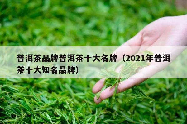 普洱茶品牌普洱茶十大名牌（2021年普洱茶十大知名品牌）