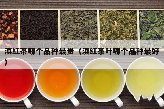 滇红茶哪个品种最贵（滇红茶叶哪个品种最好）