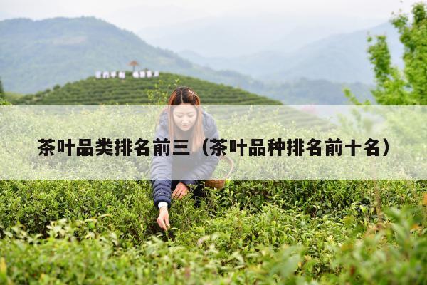 茶叶品类排名前三（茶叶品种排名前十名）