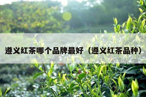 遵义红茶哪个品牌最好（遵义红茶品种）