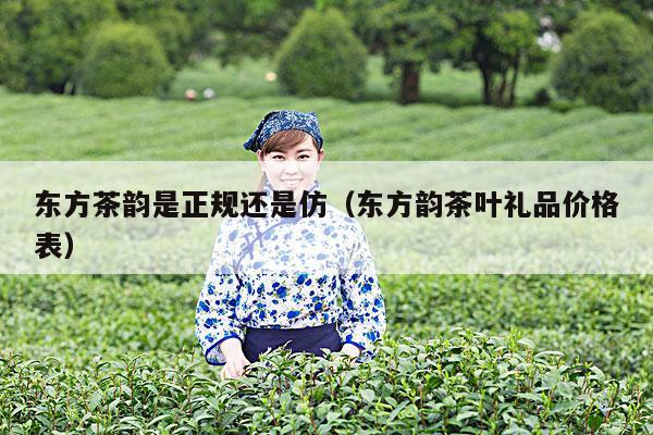 东方茶韵是正规还是仿（东方韵茶叶礼品价格表）