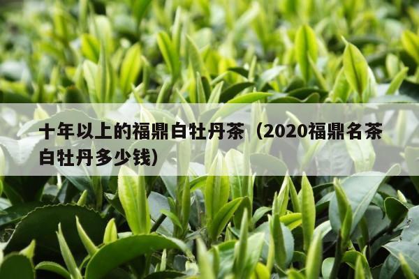 十年以上的福鼎白牡丹茶（2020福鼎名茶白牡丹多少钱）