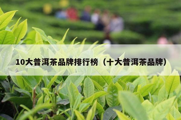 10大普洱茶品牌排行榜（十大普洱茶品牌）