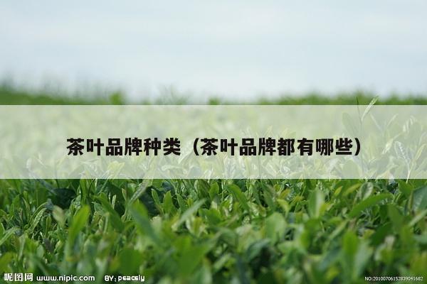 茶叶品牌种类（茶叶品牌都有哪些）