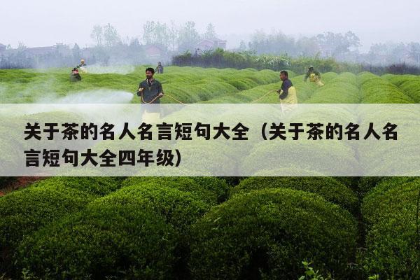 关于茶的名人名言短句大全（关于茶的名人名言短句大全四年级）