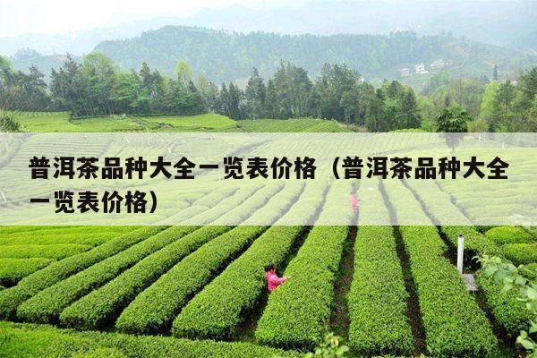 普洱茶品种大全一览表价格（普洱茶品种大全一览表价格）