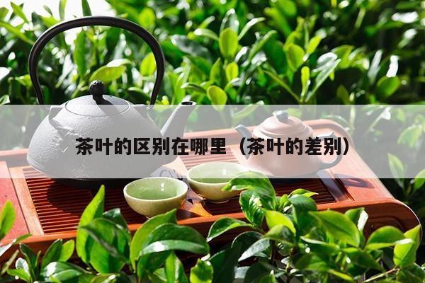 茶叶的区别在哪里（茶叶的差别）